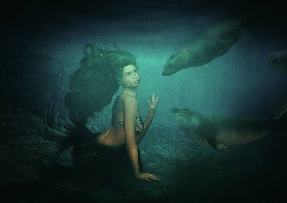7ae6a5666a264c27b11d0315f5e7384a.jpeg