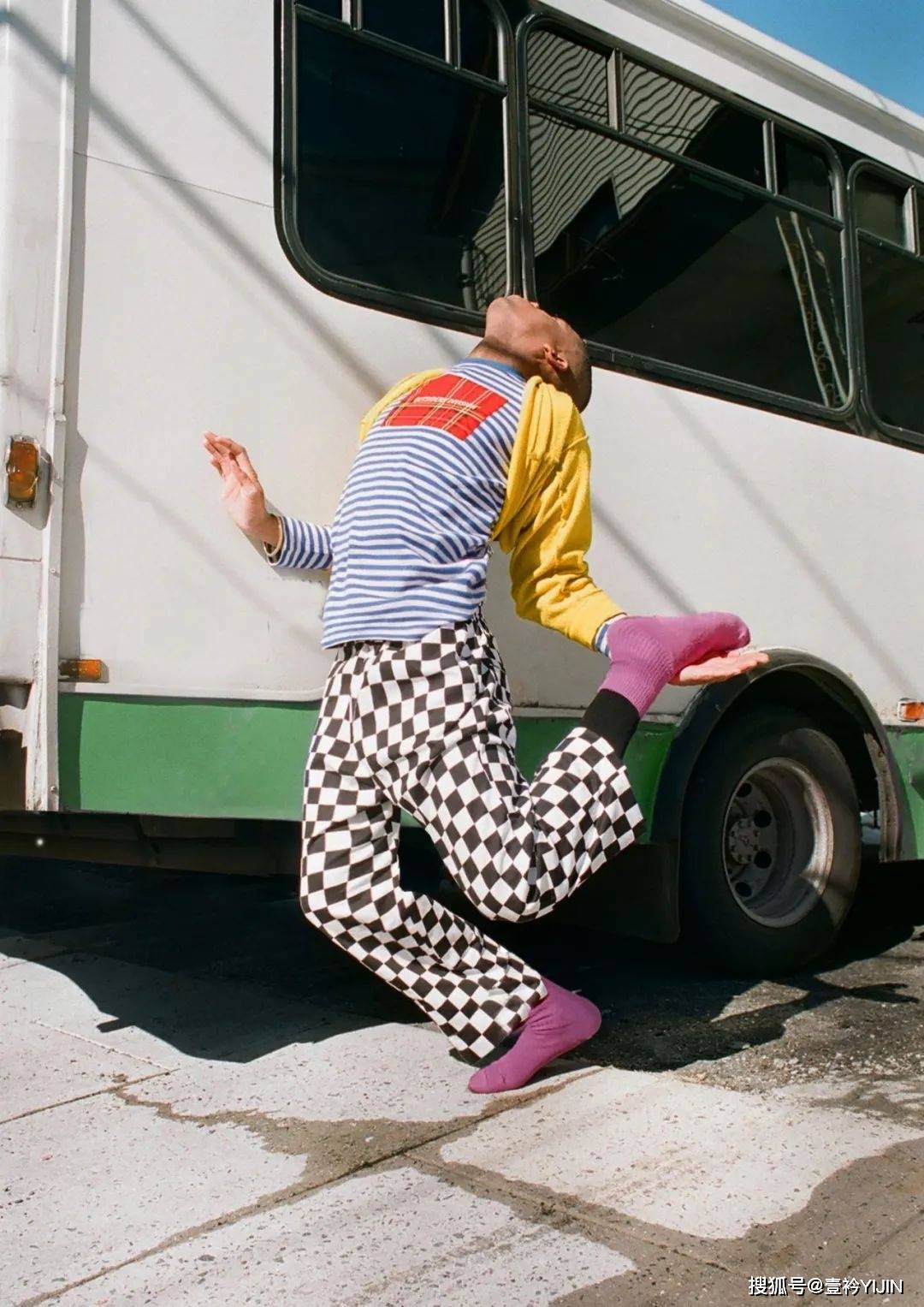 品牌|这年头，连狗都要做个时尚圈的「局外人」