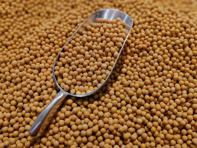企业|8月粮食市场有变动！玉米、小麦、大豆、稻米，谁要涨、谁要跌？