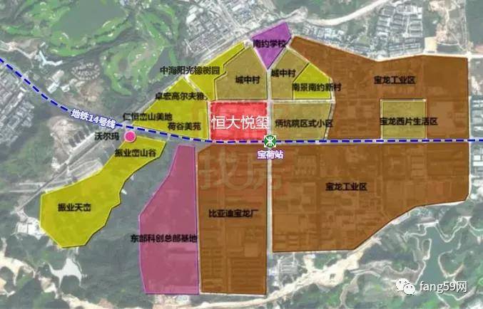 龙岗人口科_组建龙岗中心医院集团 妇幼健康学科联盟,龙岗人的医疗卫生福利