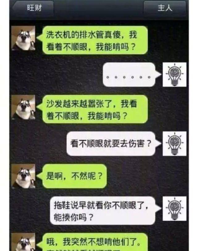 意思|如果哈士奇会发微信会怎样？哈哈不愧是二哈，有被笑到