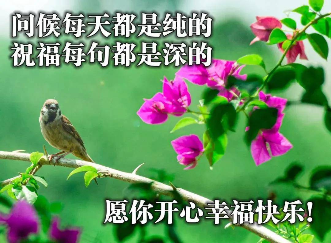 原创7张清新漂亮早安早上好风景图片带祝福语免打字聊天的早安问候