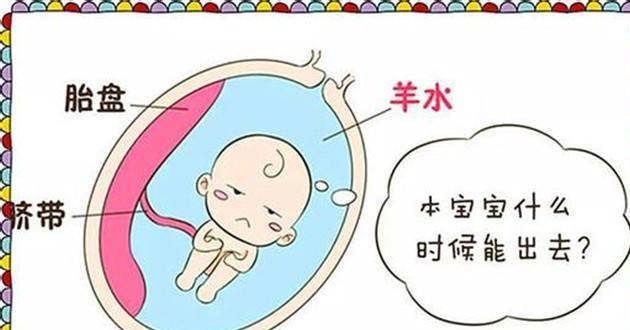 婴儿怎么趴妈妈肚子上 7d154df40441419eada194c2f8398996.jpeg