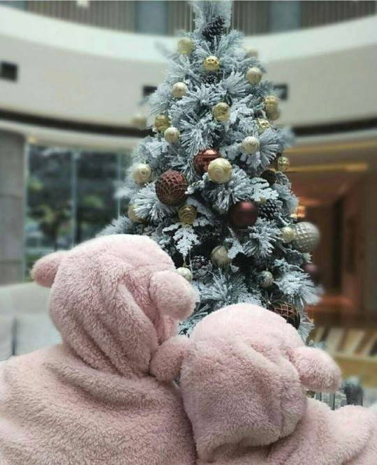 因为|曝谢娜二胎已生产，是个小公主，张杰一直陪着等合适的机会官宣？