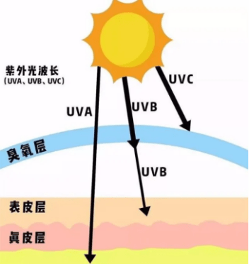 水前寺|防晒与修护必不可少，传奇今生帮你对抗炎炎夏日