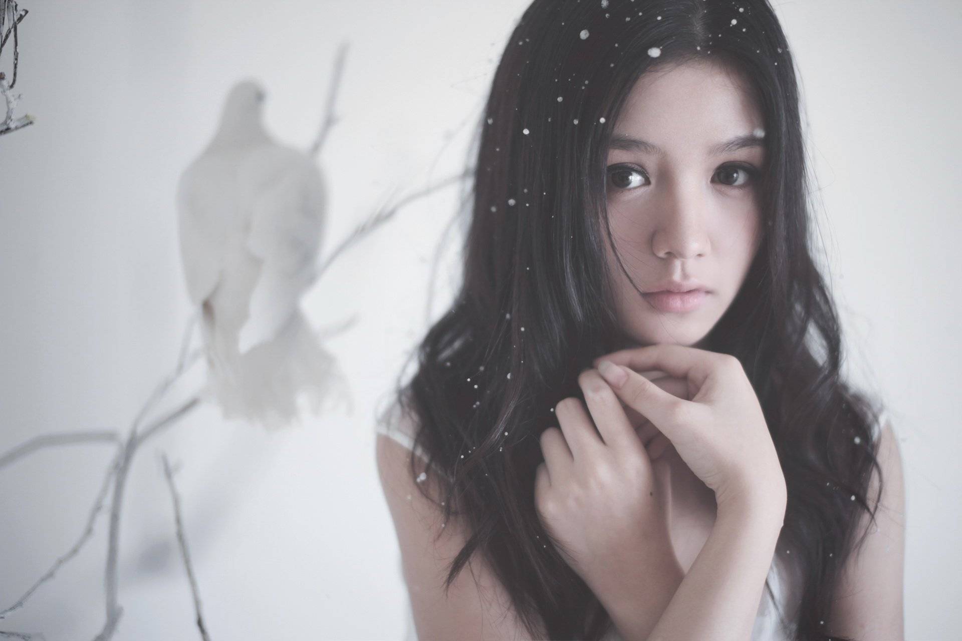 一扫早前一月横财运闭塞,生活上不顺心的事较多的情况,另外生肖虎的