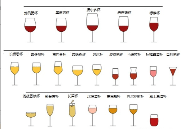 气泡|不会选酒杯，你还好意思说你爱喝红酒？