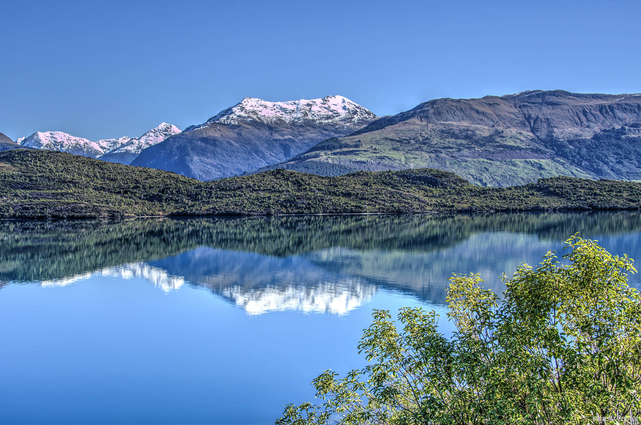 当罗托鲁瓦火山岩泥遇到麦卢卡蜂蜜