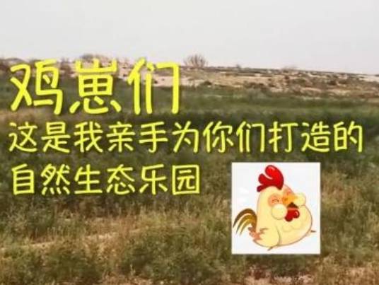 德国游客：中国人在沙漠养鸡，居然“绿”了沙漠，简直“反人类”