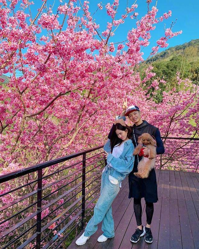 曲线|辰亦儒老婆曾之乔婚后幸福，31岁二次发育，针织裙掩不住美胸翘臀