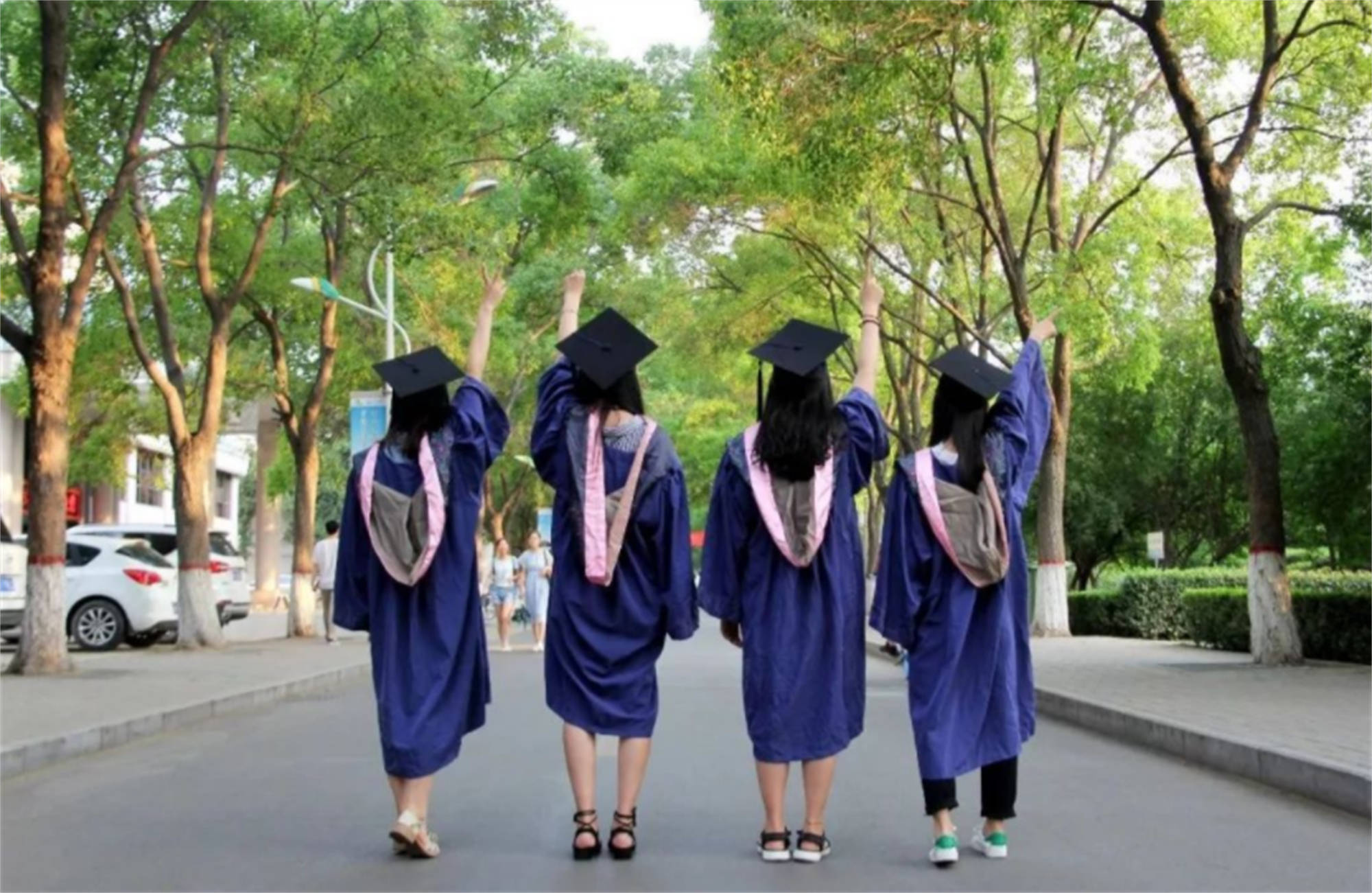 硕士生和研究生谁的学历高 bd30eb4f42214e9c9b4309b871ae99ed.jpeg