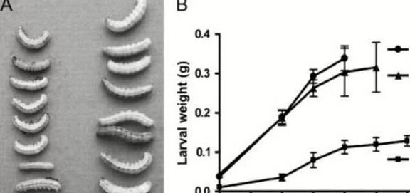 时间|失眠30年、全身莫名疼痛，戒掉这些蔬菜后全好了……