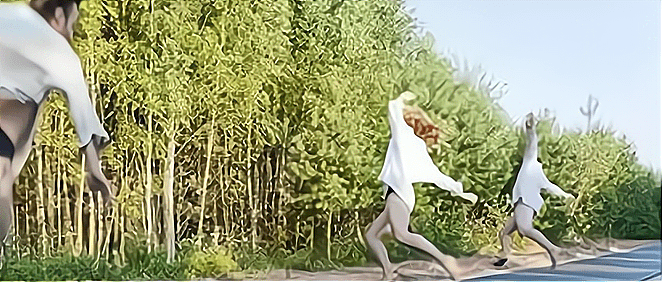 砖窑|吕梁：砖窑沟村——酒里康养地