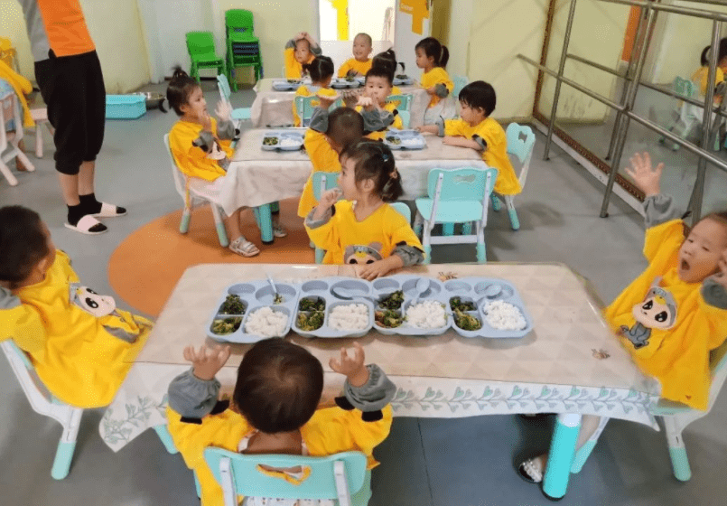 进行|私立幼儿园或将“全部关停”？教育部回应，家长听到后拍手叫好