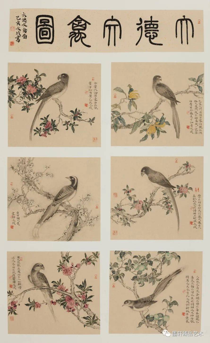 走到黑走到明 | 孔文成花鸟画的脉路