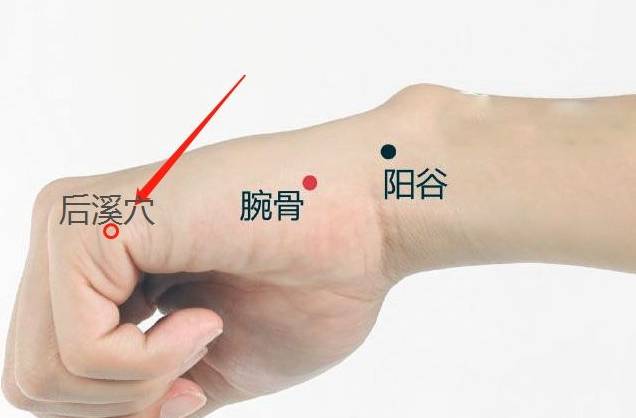 什么是好风水好穴 e92e9450847b4ae3b5b7cae5a9562a89.jpeg