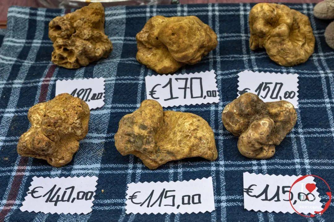 巡礼|产区巡礼 | 皮埃蒙特：全面发展的优绩生产地
