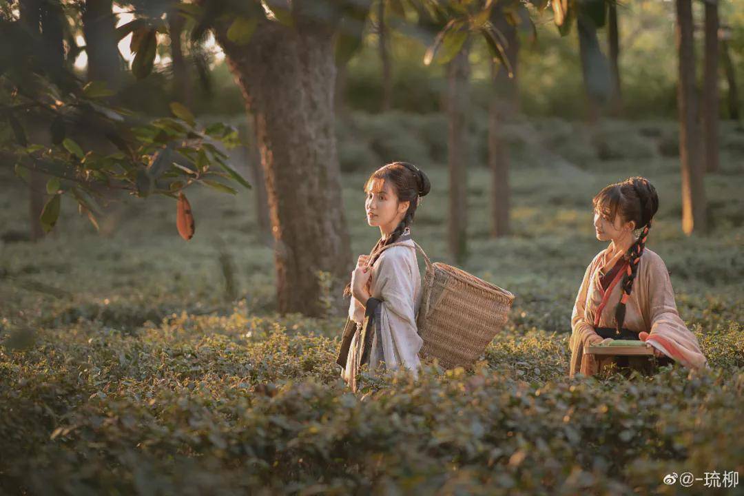 摄影|汉服小仙女：待到山花烂漫处