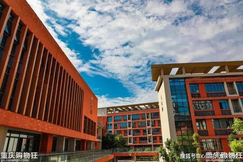 西南大学附属中学有点牛一周内收获23枚奖牌