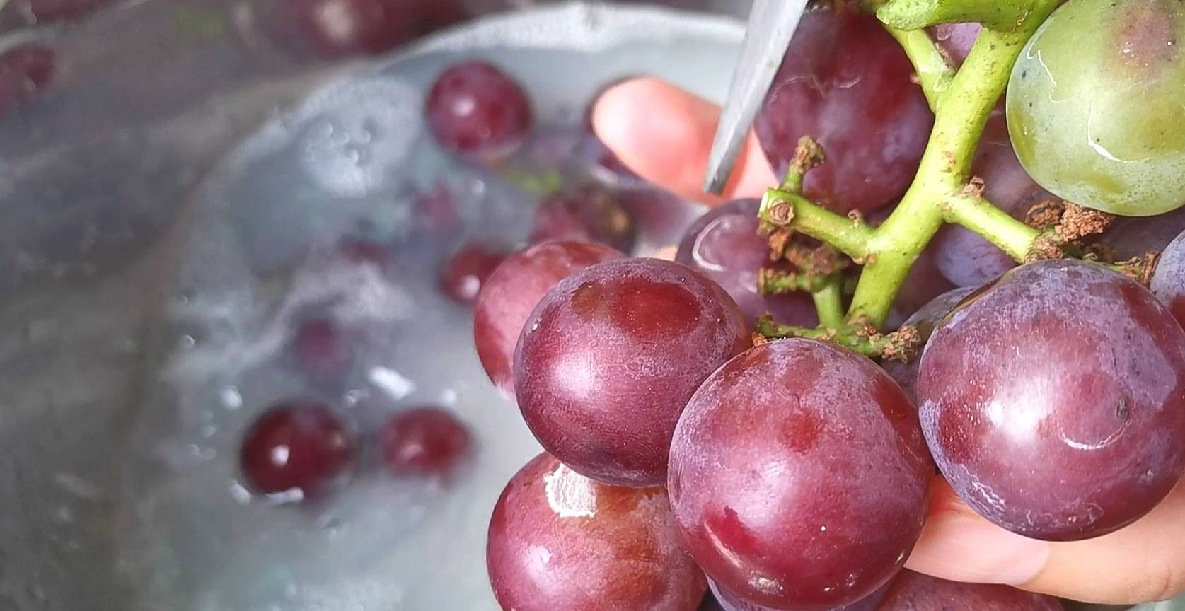 方法|洗葡萄用盐水就错了,等于吃虫卵,教你2个技巧,虫卵跑光光