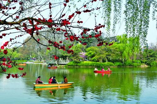 文笔夕|常州红梅公园