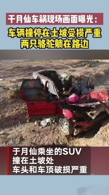 于月仙车祸去世遭网暴,网友心疼两只被撞死的骆驼,留言骂她活该