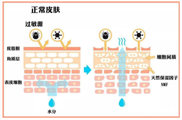 姐妹|出油、敏感、反复爆痘，原来皮肤屏障受损的后果这么可怕！