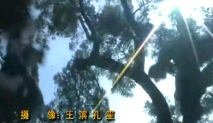 山东|山影必重刷的剧：《白眉大侠》童年回忆，闯关东、琅琊榜均超9分