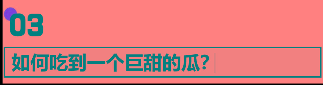 西瓜怎么挑（西瓜怎么挑才知道是甜的）