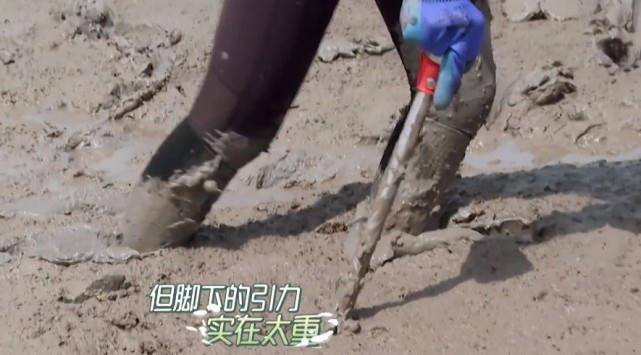 泥巴|李沁腿细还有“巴掌腰”,穿最小号裤子一直用手提,生怕往下滑