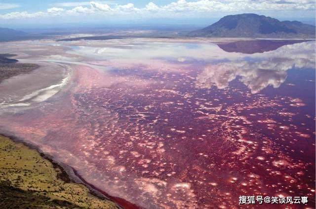 被称为“冥湖”的非洲湖泊，不仅表面通红，还伫立着石化的鸟类
