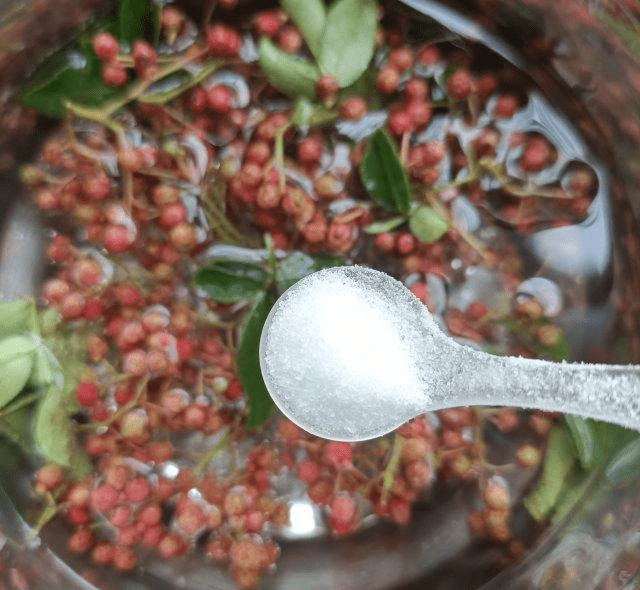 茄子花椒酱 味道鲜美 十分百搭 老公