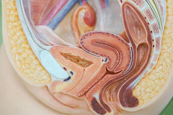 原创宫颈炎与盆腔炎怎样护理比较好做好这些饮食与生活习惯两不误