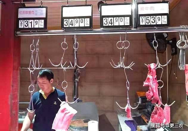 跳水|预警升级！8月12日，猪价跳水，玉米、小麦行情“变脸”！