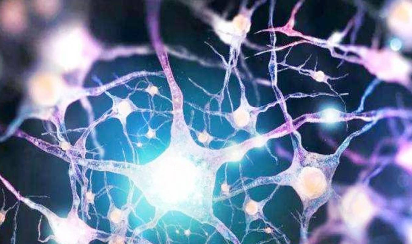 大脑|怀胎十月,智力发育在这3周是高峰期,不想娃输在起跑线就抓住了