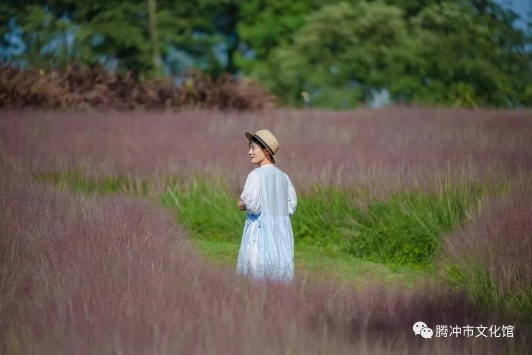 穿针|腾冲民俗|话 说 七 夕 节