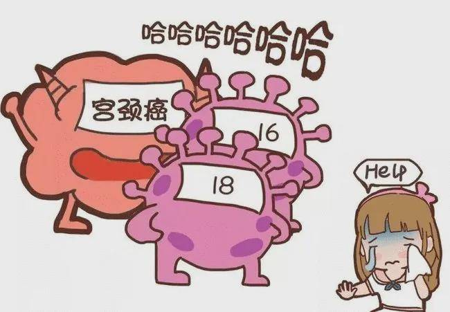 錦江婦幼婦產科醫生先給大家吃一顆定心丸:受懷孕影響孕媽媽感染hpv