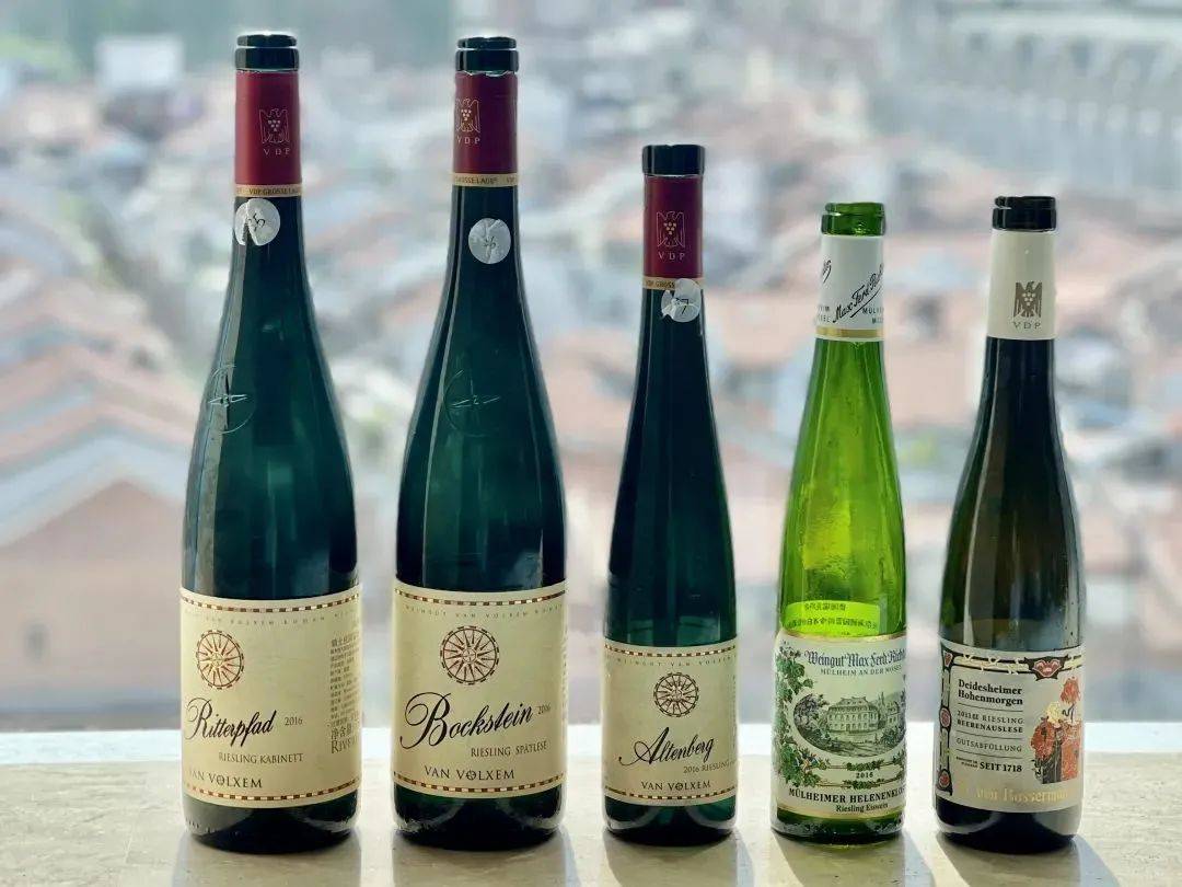 Wines|新一批16位德国葡萄酒认证讲师诞生，名单公布！