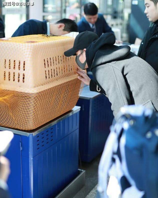 宠物|文章带宠物现身机场，穿“牛角扣”风衣配牛仔，看狗的眼神充满宠溺