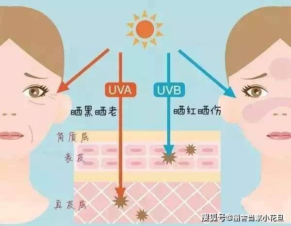 补充|颜值丽舍：一场秋雨一场寒！分享六个强化肌肤防御力的方法！