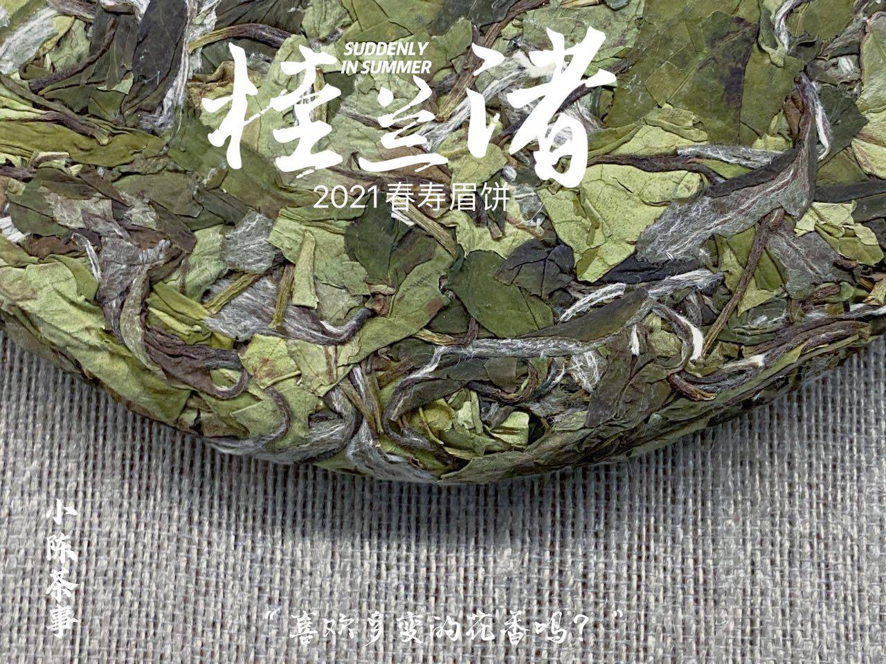 养分|长期收藏白茶，选散茶还是饼茶？两者的转化速度有快慢之分吗？