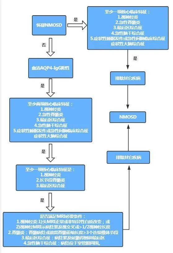治疗|罕见病诊疗中国指南 | ?视神经脊髓炎