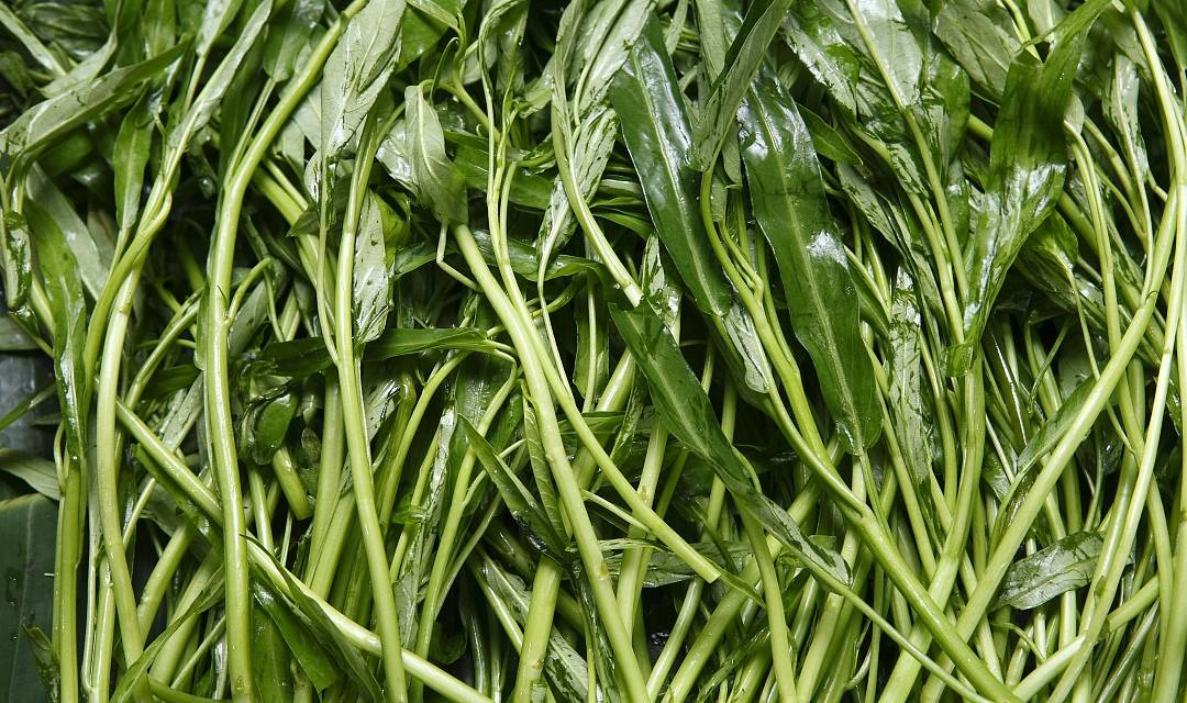 尿酸|高尿酸患者：身体若有4个异象，或是肾已被“伤透”，别再硬抗了