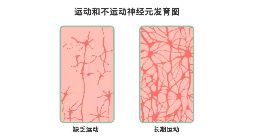 近20%营养不良!"假早餐,坏晚餐"别吃