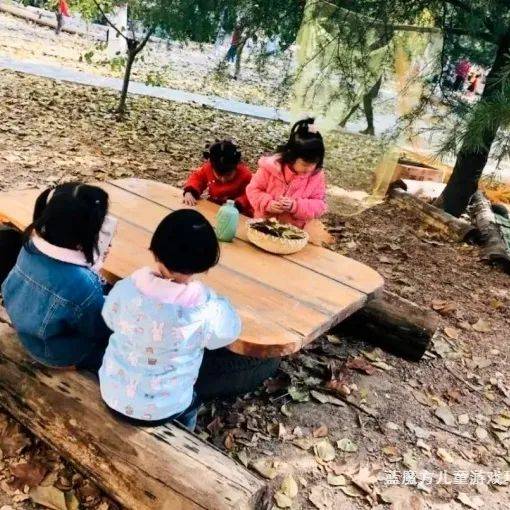 活动|自然游戏场 | “菜园子”蕴藏的园所教育环境设计玄机