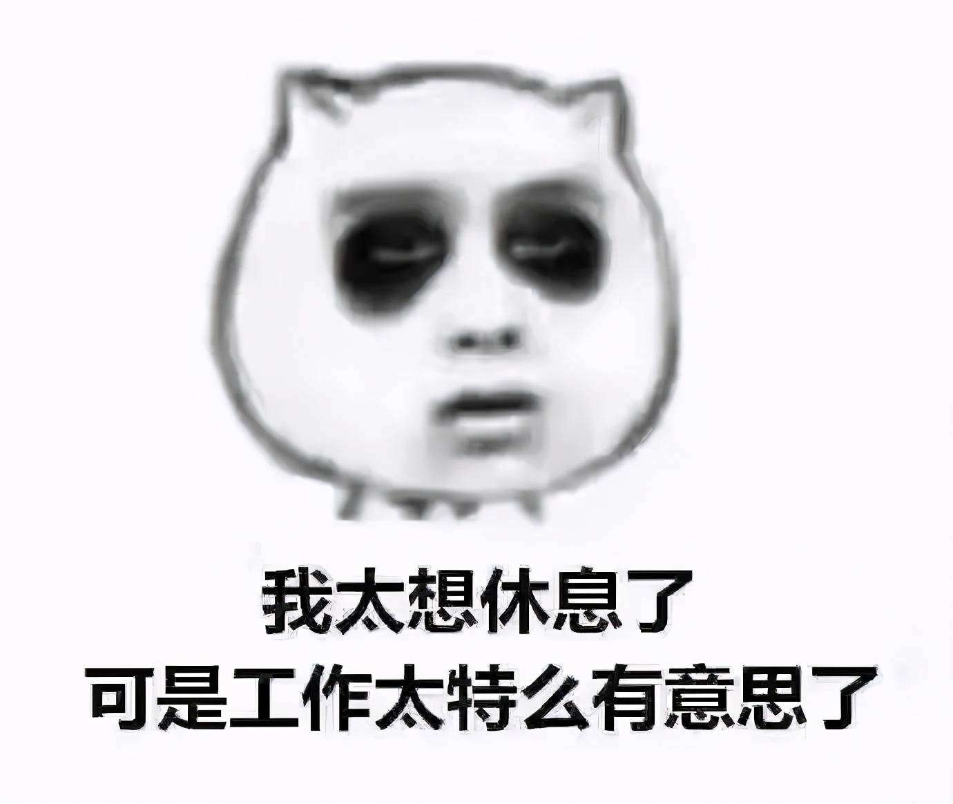 什么时候才能不熬夜下一句是什么 ef4f2459ca024786b149e23b77da2160.jpeg