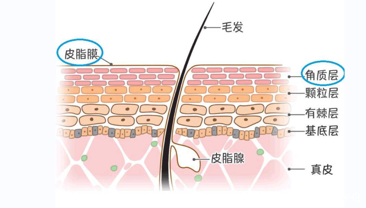 产品|女人涂防晒霜要牢记3个“不要”，不然涂了也白涂！很多人忽视了