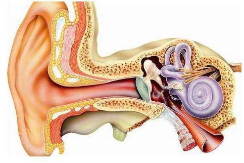 一个耳朵有回音怎么办