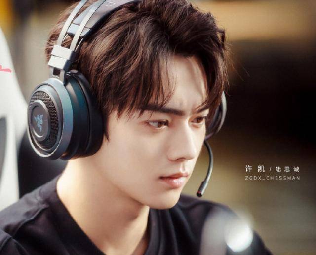 因为|因《延禧攻略》爆红的许凯，却接连两部戏口碑翻车，他到底怎么了