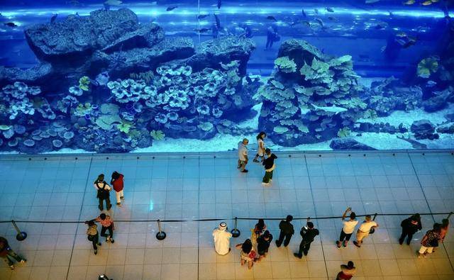 亚洲购物中心室内最大360°全景环绕柱状海洋馆亮相重庆